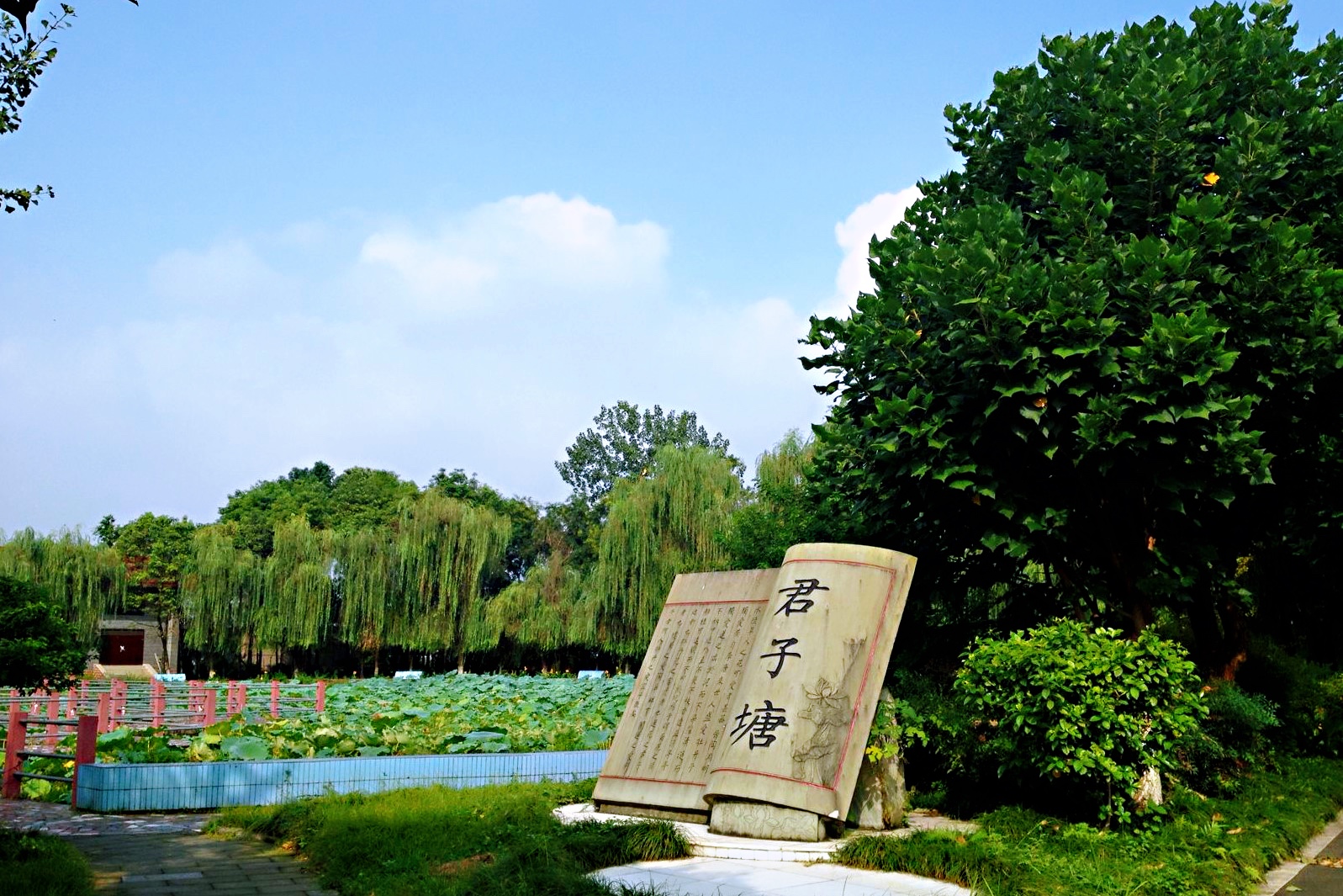 四川大學(xué)青羊校區(qū)